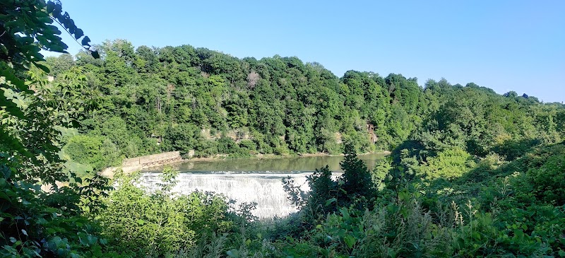 Persimmon Park - Brighton, NY