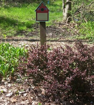 Persimmon Park - Brighton, NY