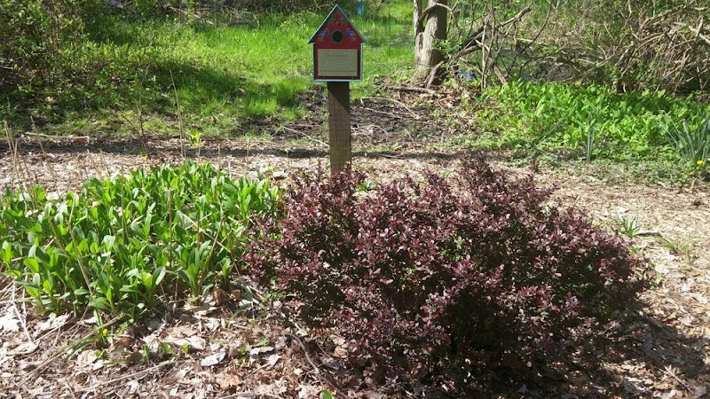 Persimmon Park - Brighton, NY