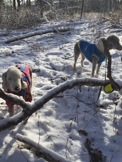 Persimmon Park - Brighton, NY