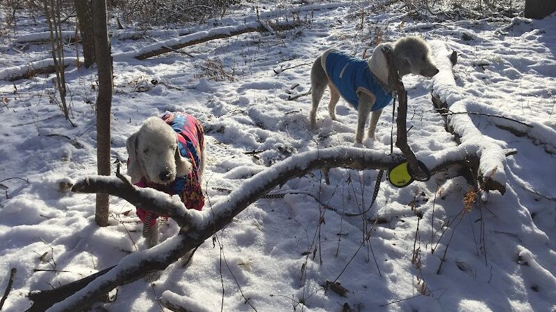 Persimmon Park - Brighton, NY