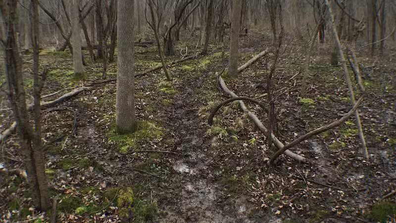 Persimmon Park - Brighton, NY