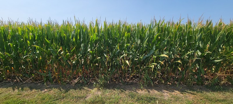 Brimfield Community Park - Brimfield, IL