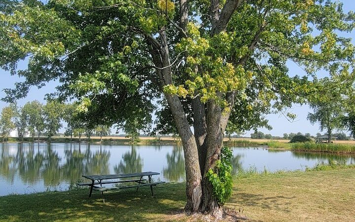 Brimfield Community Park - Brimfield, IL