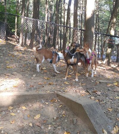 B.A.R.K. Park - Bristol, CT