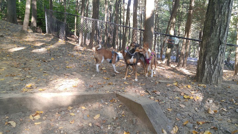 B.A.R.K. Park - Bristol, CT