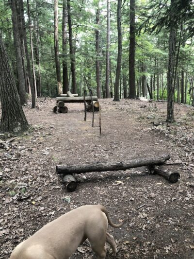 B.A.R.K. Park - Bristol, CT