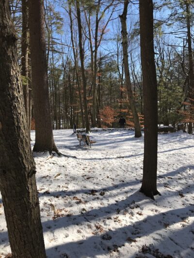 B.A.R.K. Park - Bristol, CT