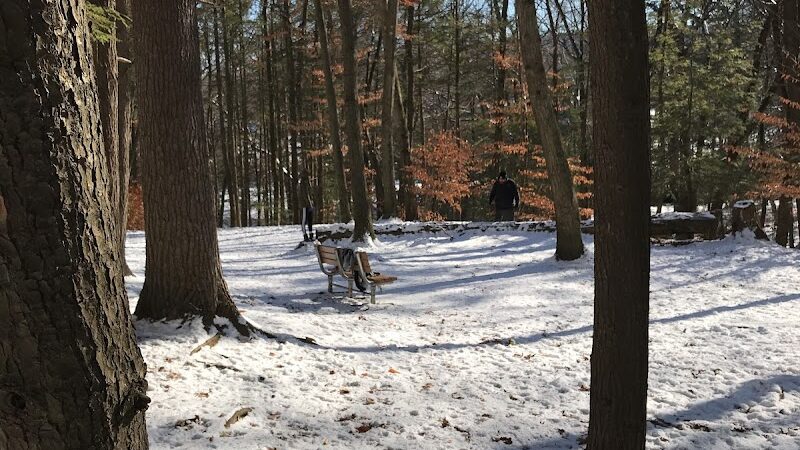 B.A.R.K. Park - Bristol, CT