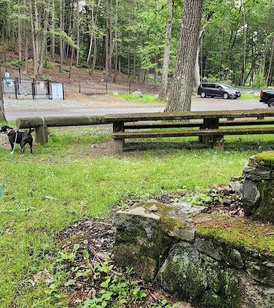 B.A.R.K. Park - Bristol, CT