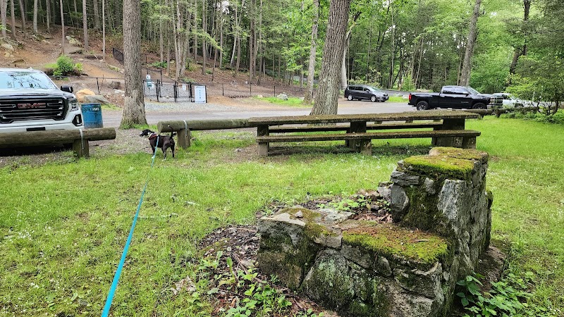 B.A.R.K. Park - Bristol, CT