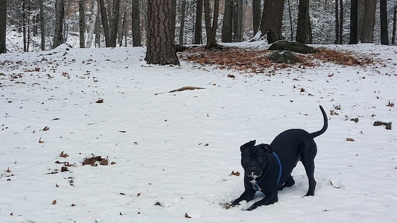 B.A.R.K. Park - Bristol, CT