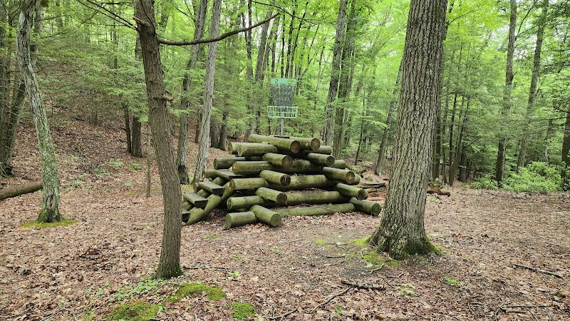 B.A.R.K. Park - Bristol, CT