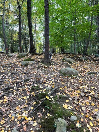 B.A.R.K. Park - Bristol, CT