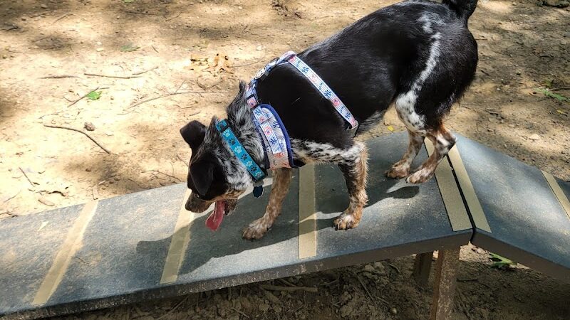 B.A.R.K. Park - Bristol, CT