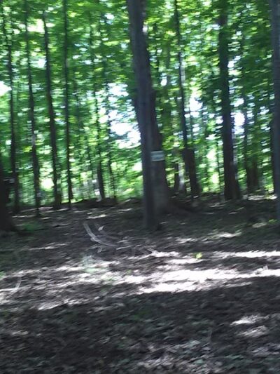 Sweden Dog Park - Brockport, NY