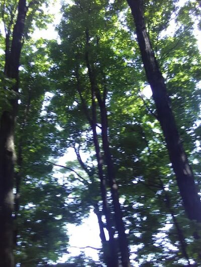 Sweden Dog Park - Brockport, NY