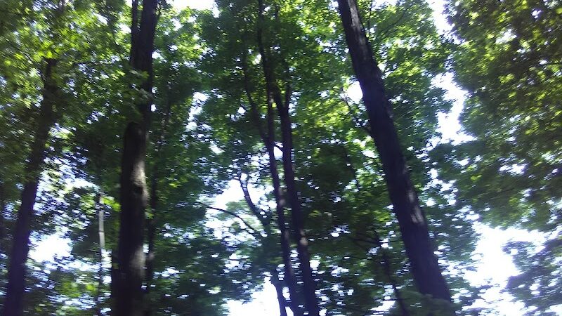 Sweden Dog Park - Brockport, NY