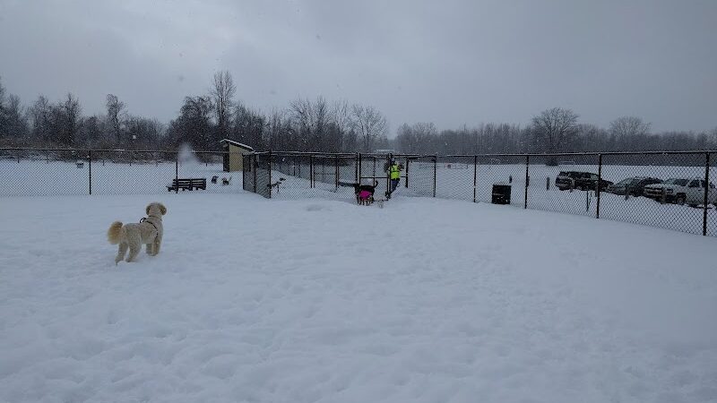 Sweden Dog Park - Brockport, NY