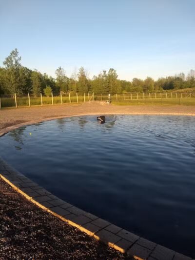 Sweden Dog Park - Brockport, NY