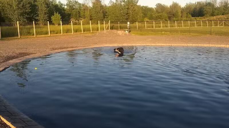 Sweden Dog Park - Brockport, NY
