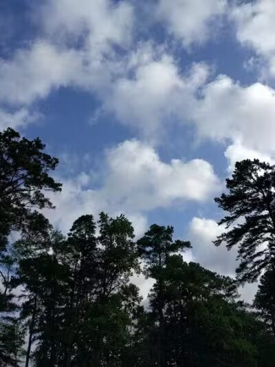 San Augustine Park - Bronson, TX