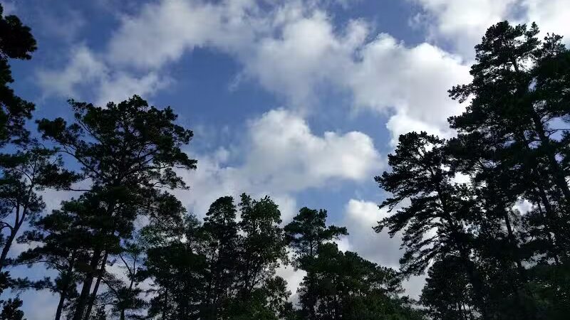 San Augustine Park - Bronson, TX