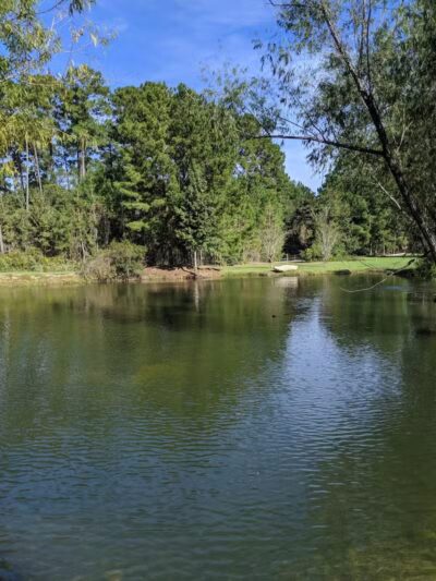 Brookeland / Lake Sam Rayburn KOA Holiday - Brookeland, TX