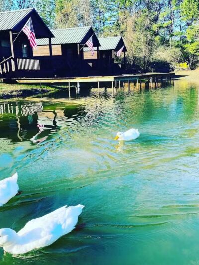 Brookeland / Lake Sam Rayburn KOA Holiday - Brookeland, TX