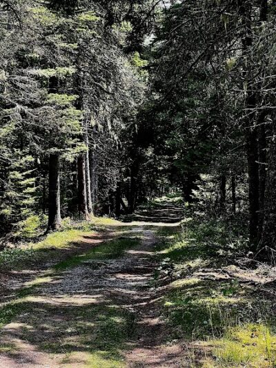 Harriman Point Preserve - Brooklin, ME