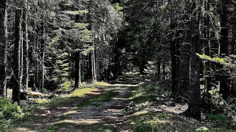 Harriman Point Preserve - Brooklin, ME