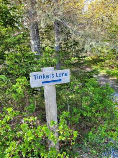 Harriman Point Preserve - Brooklin, ME