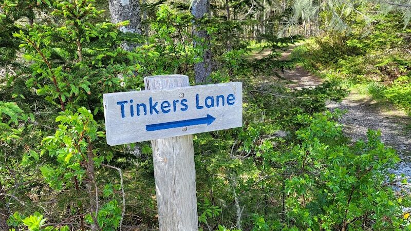 Harriman Point Preserve - Brooklin, ME