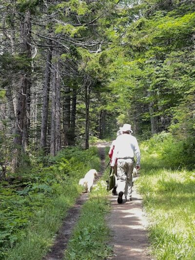 Harriman Point Preserve - Brooklin, ME
