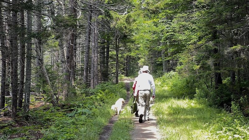 Harriman Point Preserve - Brooklin, ME