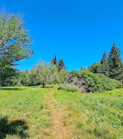 Harriman Point Preserve - Brooklin, ME