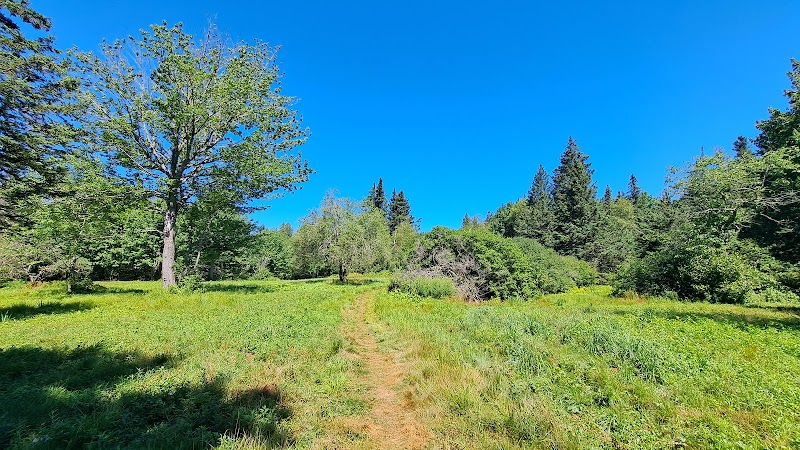 Harriman Point Preserve - Brooklin, ME