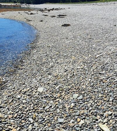 Harriman Point Preserve - Brooklin, ME
