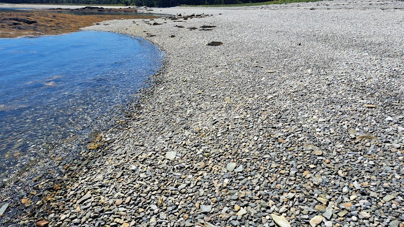 Harriman Point Preserve - Brooklin, ME
