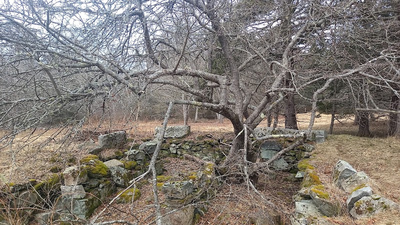 Harriman Point Preserve - Brooklin, ME