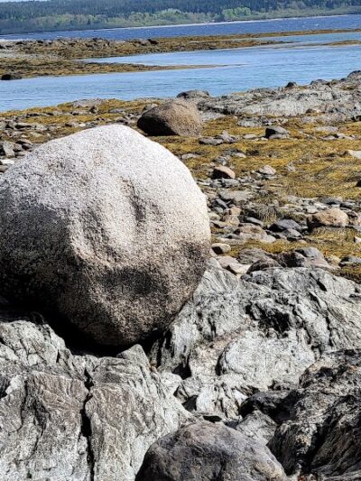 Harriman Point Preserve - Brooklin, ME