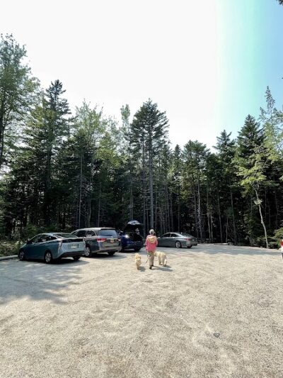 Harriman Point Preserve - Brooklin, ME