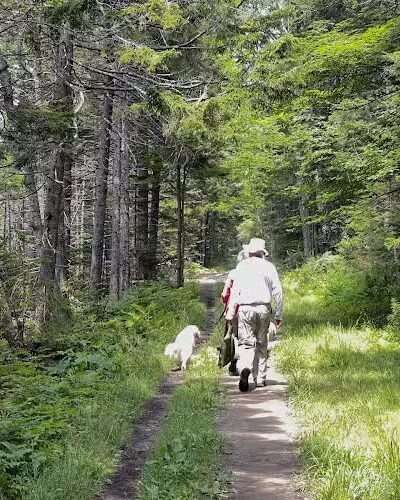 Harriman Point Preserve - Brooklin, ME