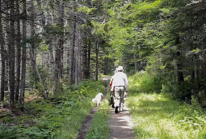 Harriman Point Preserve - Brooklin, ME
