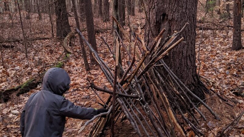 Hundred Acre Wood - Blue Hill Heritage Trust - Brooklin, ME