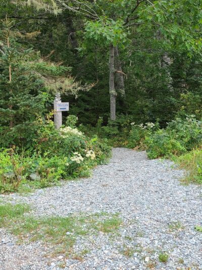 Eastern Beach - Brooklin, ME