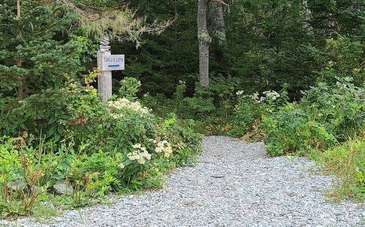 Eastern Beach - Brooklin, ME