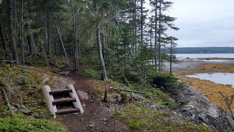 Eastern Beach - Brooklin, ME