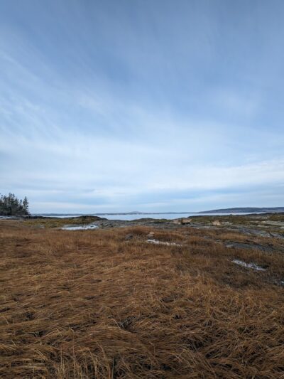 Eastern Beach - Brooklin, ME