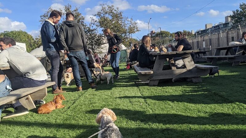 Bark Park - Brooklyn, NY